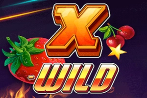 Арт слота X-WILD